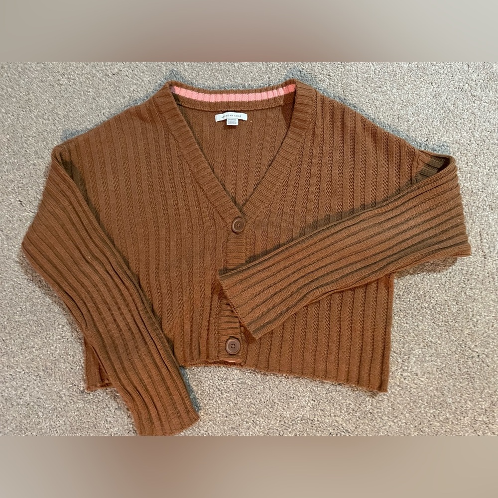 Burnt Orange, American Eagle cropped sweater